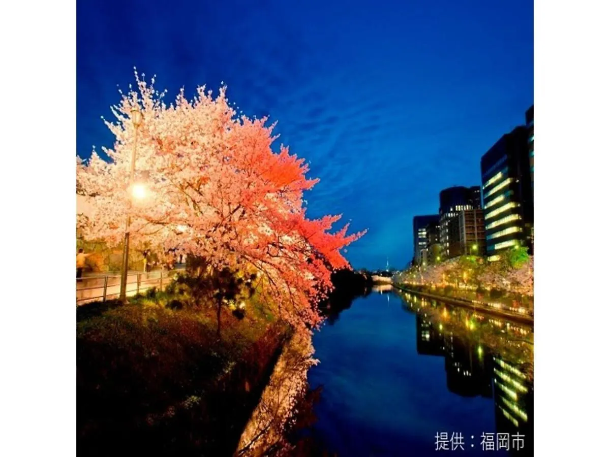 Court Hotel Fukuoka Tenjin - Vacation Stay 42335V